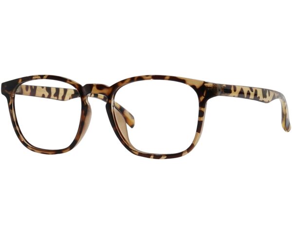 Rectangle Eyeglasses 160255