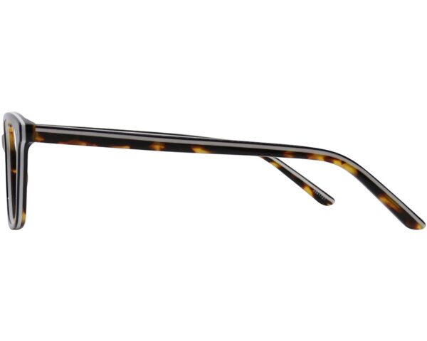 Rectangle Eyeglasses 160262