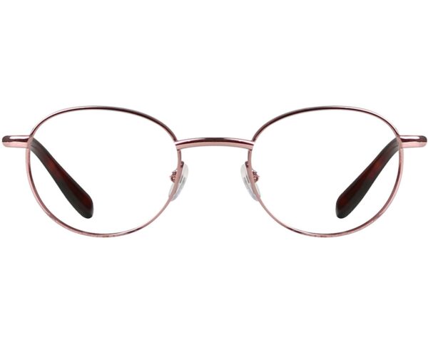 Round Eyeglasses 154736a